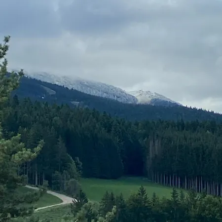 Face Aux Pistes Avec Wifi * Villard-de-Lans